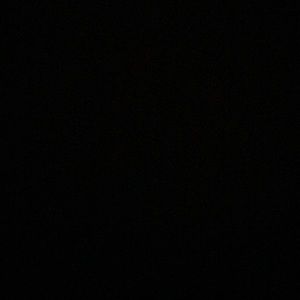 Meet your Posher, Daizha